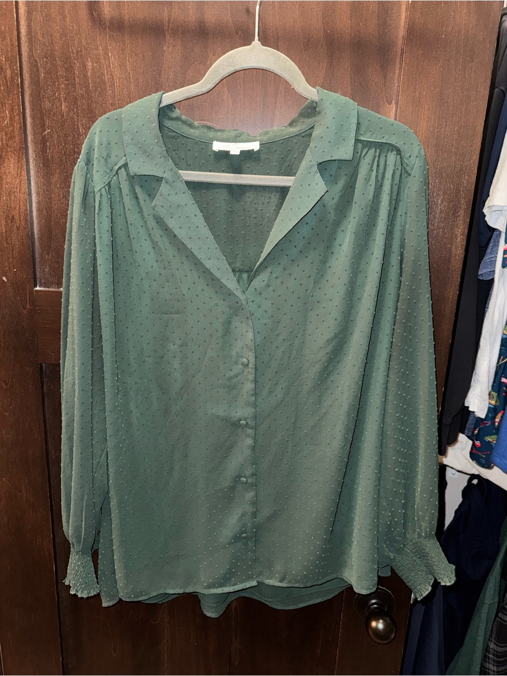 Emerald Green Sheer Lightweight Button-Front Blouse